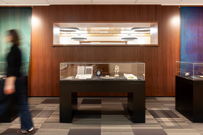 Exhibition space with glass display cases containing artifacts, set against a wood-panelled wall, with a blurred visitor walking past in the foreground. 