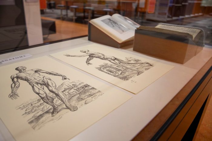 A display case with two prints and two books displaying muscular and cardiovascular bodily systems