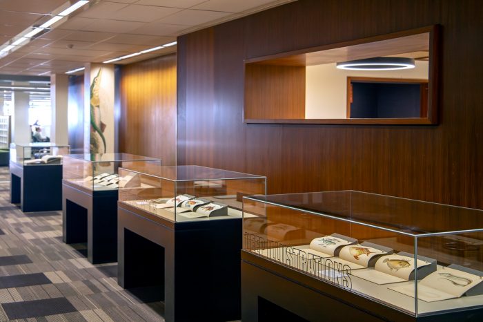 View of a hallway with four display cases filled with books. On the front of each display case is bold text reading, "Deep Illustrations".