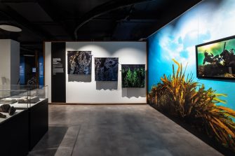 A wall displaying three large silken fabrics hanging from the ceiling. The fabrics a dark, with bright colours in a complex pattern. To the right of the fabrics is a sea blue wall depicting a photo of underwater divers. 