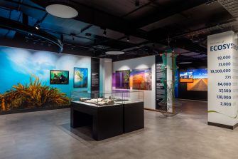 An exhibition space with a series of colourful displays. On the left is a sea blue wall with photographs of divers, in the middle is purple and orange hanging acrylic panels depictin infrared imagery of waterbirds, into the distance is imagery of a desert landscape against a blue sky. Closer to the camera is two display cabinets, and a turtle net hanging from the ceiling. 