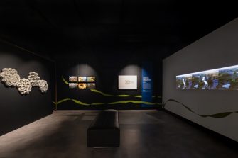 A dark exhibition space with separate displays of three walls. To the left is a wall with circular, ornate cement tiles. In the middle is a series of framed photographs, and a separate large framed illustration of a lobster. On the right wall is a video work depicting a still of a curving river in the landscape. 