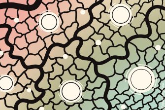 Walk softly on country with me An illustration of black fracturing lines interspersed with white circles, with a colour gradient shifting from pale red to green in the background