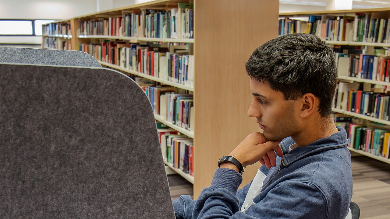 Close-up of student in blue jumper with hand on chin siting in front of desk which has high grey surrounding dividers. Book shelves in background.